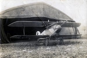 Niemiecki Albatros DV, Souilly, Francja, 2 stycznia 1918 autorstwa Unbekannt
