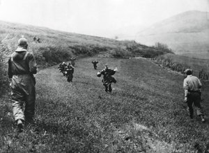 Oddziały niemieckie poddające się żołnierzom 1. Armii Amerykańskiej pod Elsborn, Niemcy, kwiecień 1945 r. autorstwa Unbekannt