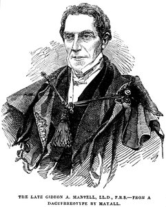 Gideon Algernon Mantell, angielski geolog, 1852 autorstwa Unbekannt