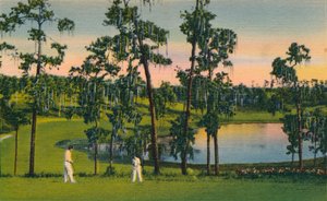 Golf, całoroczny sport na Florydzie, ok. 1939 r. autorstwa Unbekannt