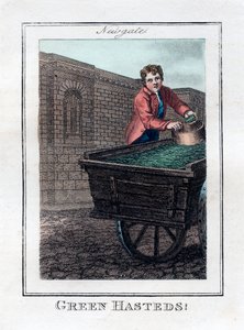 Green Hasteds, Newgate, Londyn, 1805 autorstwa Unbekannt