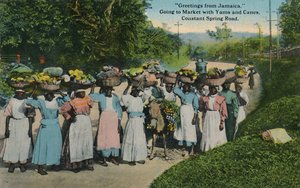 Pozdrowienia z Jamajki. Idąc na targ z batatami i laskami. Constant Spring Road, 1913. autorstwa Unbekannt