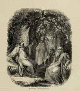 Grupa arcydruidów i druidów Z książki Old England: A Pictorial Museum, 1845 autorstwa Unbekannt