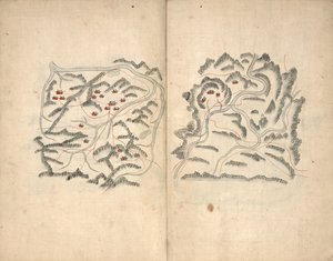 Pasja Haedonga. Hosŏ chŏndo. autorstwa Unbekannt