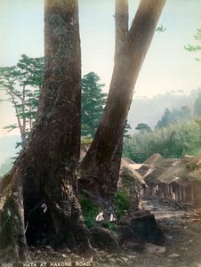 Hata przy Hakone Road, Japonia, początek XX wieku autorstwa Unbekannt