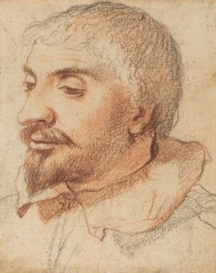 Głowa mężczyzny, ok. 1600. autorstwa Unbekannt