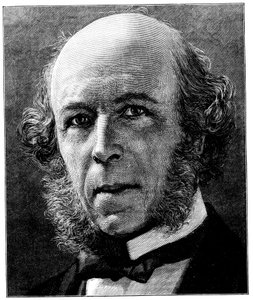Herbert Spencer, angielski filozof i socjolog, 1897 autorstwa Unbekannt