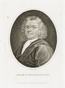 Herman Boerhaave, holenderski lekarz, chemik i botanik, początek XVIII wieku autorstwa Unbekannt