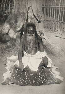 Hinduskie autobusy Asket, 1926 autorstwa Unbekannt