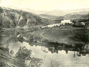 Ogrody chmielowe na Tasmanii, 1901. autorstwa Unbekannt