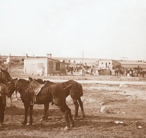 Konie, Somme-Tourbe, północna Francja, c1914-c1918 autorstwa Unbekannt