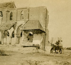 Konie pasące się w pobliżu zrujnowanego kościoła, Frise, północna Francja, c1914-c1918 autorstwa Unbekannt