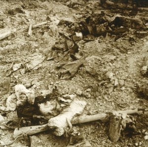 Szczątki ludzkie, Verdun, północna Francja, c1914-c1918 autorstwa Unbekannt