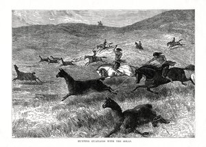 Polowanie na guanako z bolasem, Ameryka Południowa, 1877 r. autorstwa Unbekannt