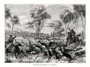 Polowanie na kangury, Australia, 1877 r. autorstwa Unbekannt