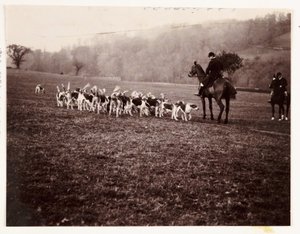 Myśliwy i psy gończe, ok. 1905 autorstwa Unbekannt