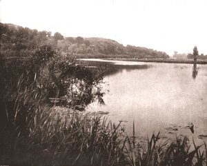 Hurley Reach, Tamiza między Bisham a Medmenham, Buckinghamshire, 1894. autorstwa Unbekannt