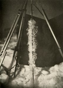 Kryształki lodu uformowane na linii pułapki na ryby, c1908, 1909 autorstwa Unbekannt