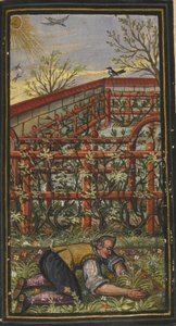 Ilustracja do Cudownego lata życia wiecznego von Jacoba Zadera, 1603 autorstwa Unbekannt