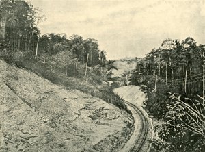 W pasmach Blackall, 1901. autorstwa Unbekannt
