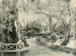 W Ogrodzie Botanicznym, Adelajda, 1901. autorstwa Unbekannt