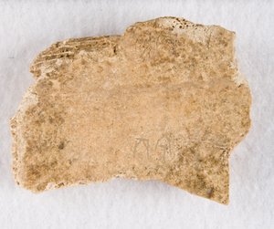 Wpisany fragment kości kości wyroczni, późna dynastia Shang, ca. 1300-1050 p.n.e. autorstwa Unbekannt
