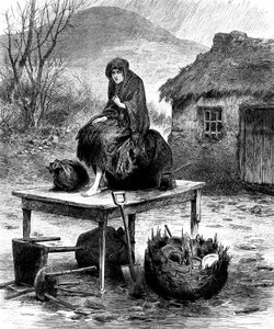 Irlandzka wieśniaczka strzegąca kilku ostatnich posiadłości rodziny, 1886 autorstwa Unbekannt