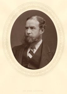 John Lubbock, pierwszy baron Avebury, angielski bankier, archeolog, przyrodnik i polityk, c1880 autorstwa Unbekannt
