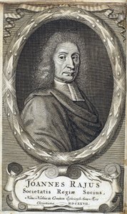 John Ray (Wray), angielski przyrodnik, ok. 1700 autorstwa Unbekannt