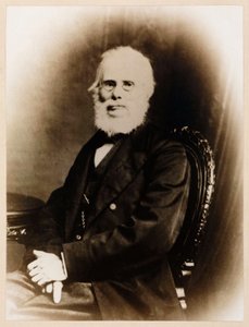 John Stringfellow, angielski pionier lotnik, ok. 1880 autorstwa Unbekannt