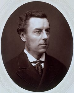 Joseph Chamberlain, brytyjski polityk liberalny, c1885. autorstwa Unbekannt