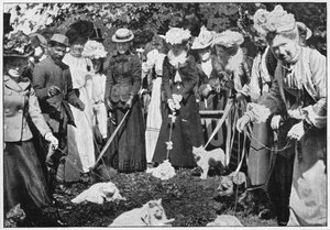 Sędziowanie kotów na wystawie w Królewskich Ogrodach Botanicznych, Kew, Londyn, ok. 1900 1901 r. autorstwa Unbekannt
