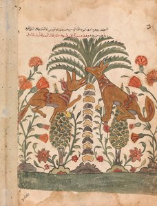 Kalila Upbraiding Dimna, Folio z Kalila wa Dimna, XVIII w. autorstwa Unbekannt