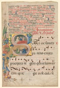 Kartka z Graduału: Historyczny inicjał S[alve Sancta Parens]..., c. 1420-1450. autorstwa Unbekannt