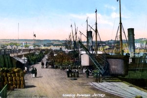 Ładowanie ziemniaków, Jersey, 1908 autorstwa Unbekannt