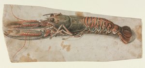 Homar, 1600s. autorstwa Unbekannt