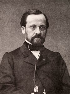 Louis Pasteur, francuski mikrobiolog i chemik, XIX w. autorstwa Unbekannt