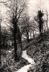 Lovers Lane, Fairlight, Hastings, Sussex autorstwa Unbekannt