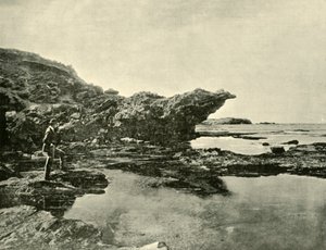 Odpływ, Shelly Beach, Warrnambool, 1901. autorstwa Unbekannt