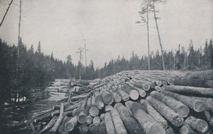 Tartak, 1924 autorstwa Unbekannt