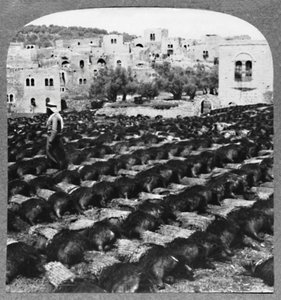Robienie butelek wina, Hebron, ok. 1900 autorstwa Unbekannt