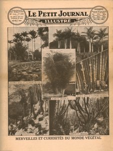 Cuda i ciekawostki świata roślin, 1931. autorstwa Unbekannt