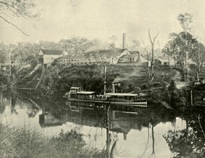 Zakłady mięsne, niedaleko Grafton, Nowa Południowa Walia, 1901. autorstwa Unbekannt