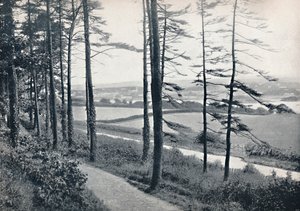 Menai - Z drewna Bangor, 1895 autorstwa Unbekannt