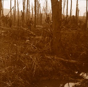 Góra Kemmel, Flandria, Belgia, c1914-c1918 autorstwa Unbekannt