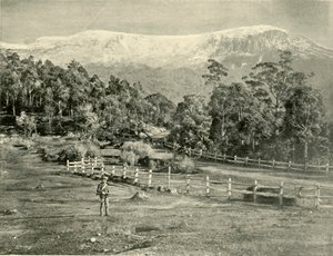 Góra Wellington, od Huon Road, 1901. autorstwa Unbekannt