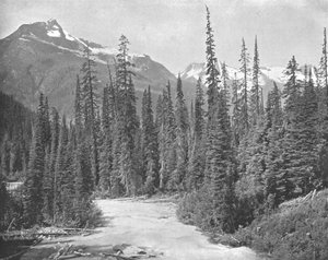 Mounts Cheops and Hermit, Selkirk Range of the Rockies, USA, ok. 1900. autorstwa Unbekannt