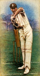 Pan D.R. Jardine Surrey, 1928. autorstwa Unbekannt