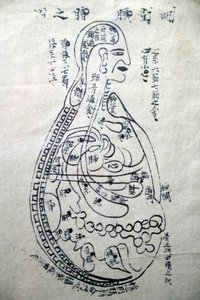 Muzeum Tradycyjnej Medycyny Wietnamskiej, Kanały i naczynia, Księga akupunktury, Ho Chi Minh, Wietnam autorstwa Unbekannt