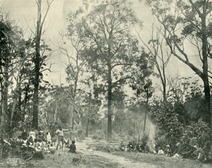 Native Sports, Lake Tyers, 1901. autorstwa Unbekannt